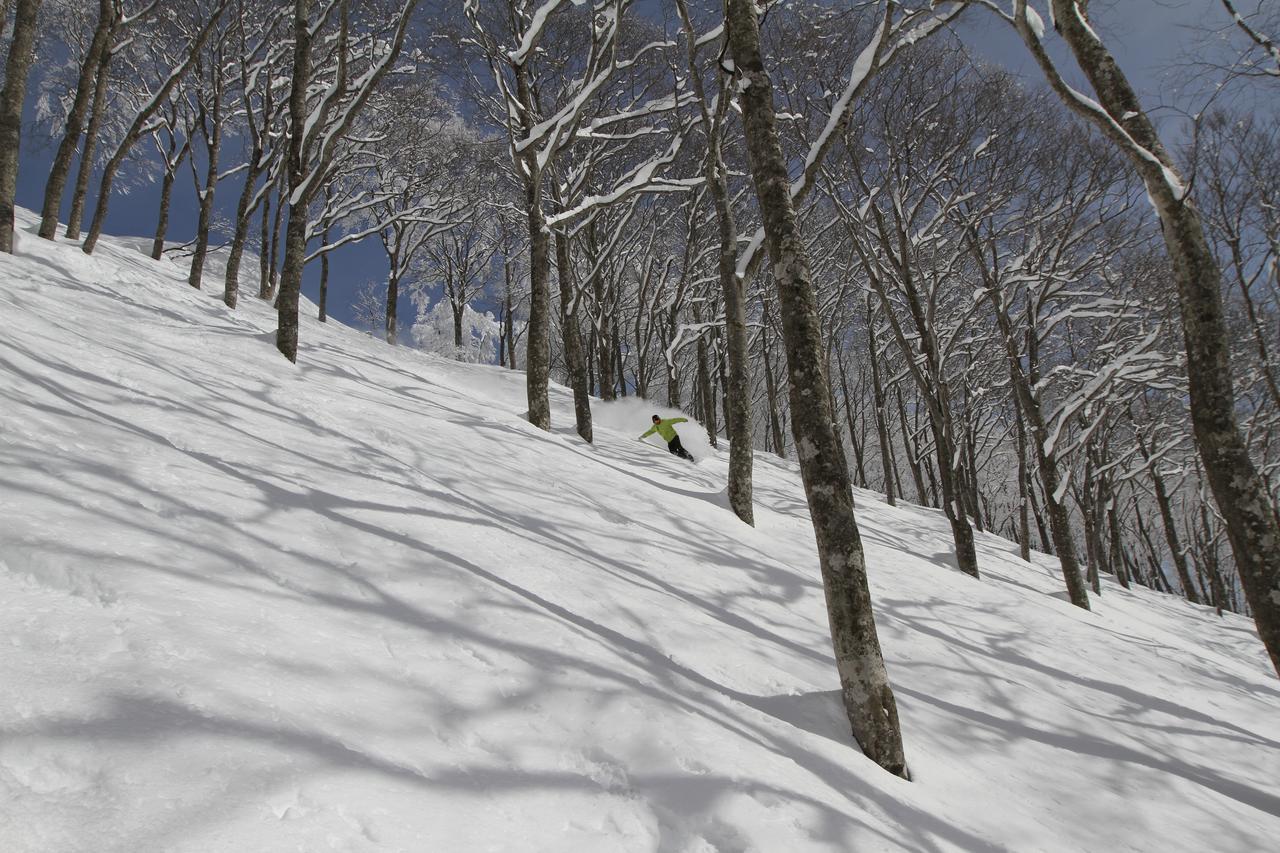 Powder Temple Hotel Hakuba Bagian luar foto