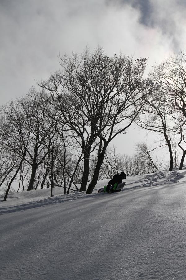 Powder Temple Hotel Hakuba Bagian luar foto